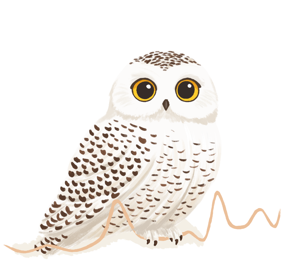 A Snowy Owl sitting on a line chart